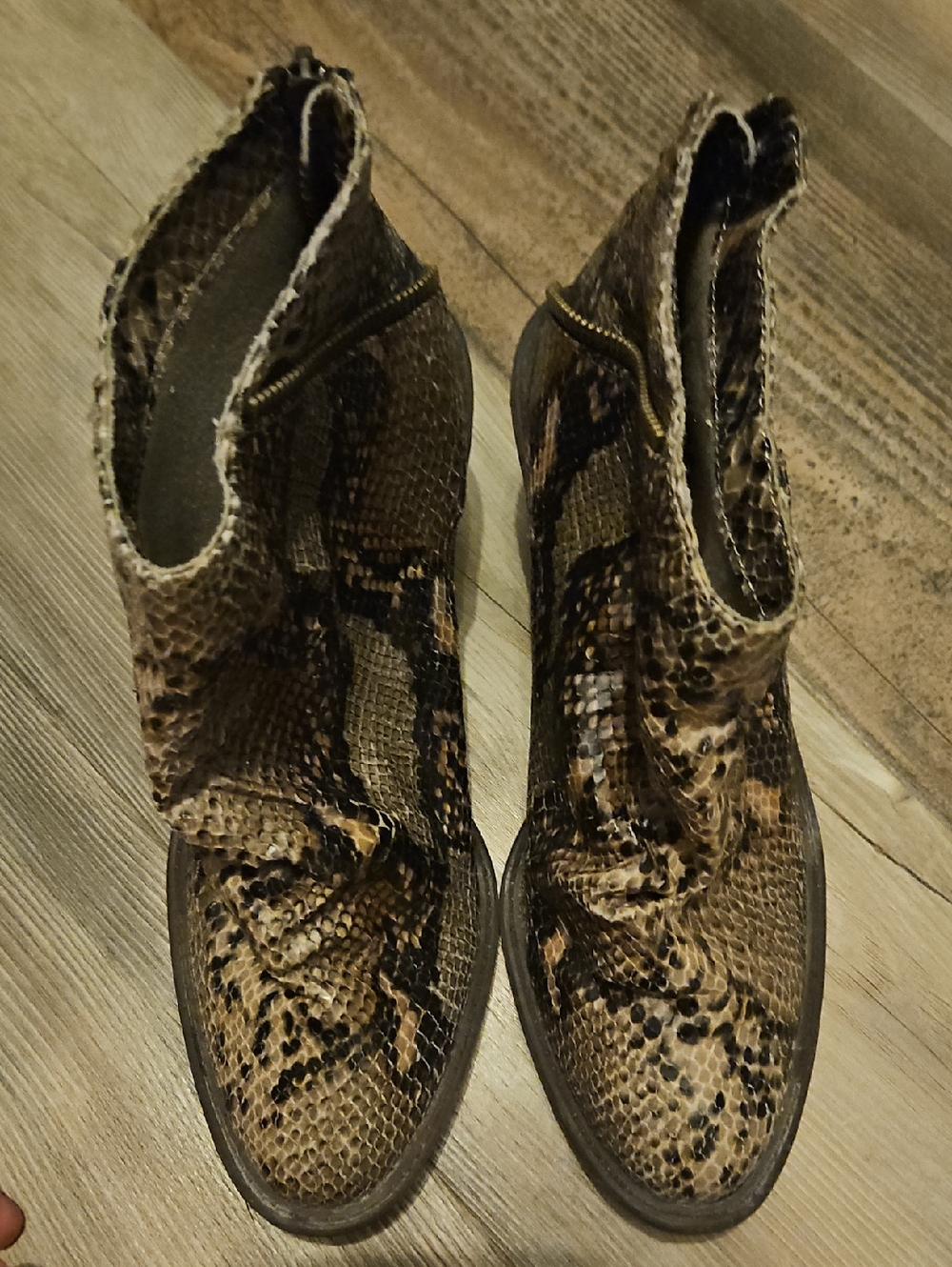 Faux Snakeskin Ankle Booties in Brown & Black